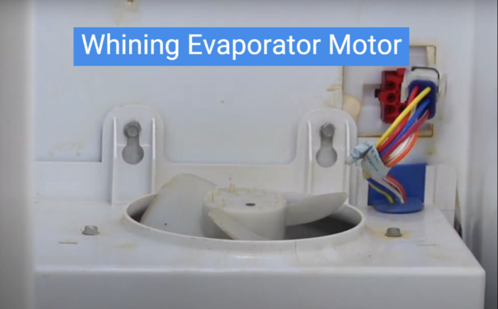 Manifestation of high frequency ripple in evaporator fan motor in GE refrigerator. 