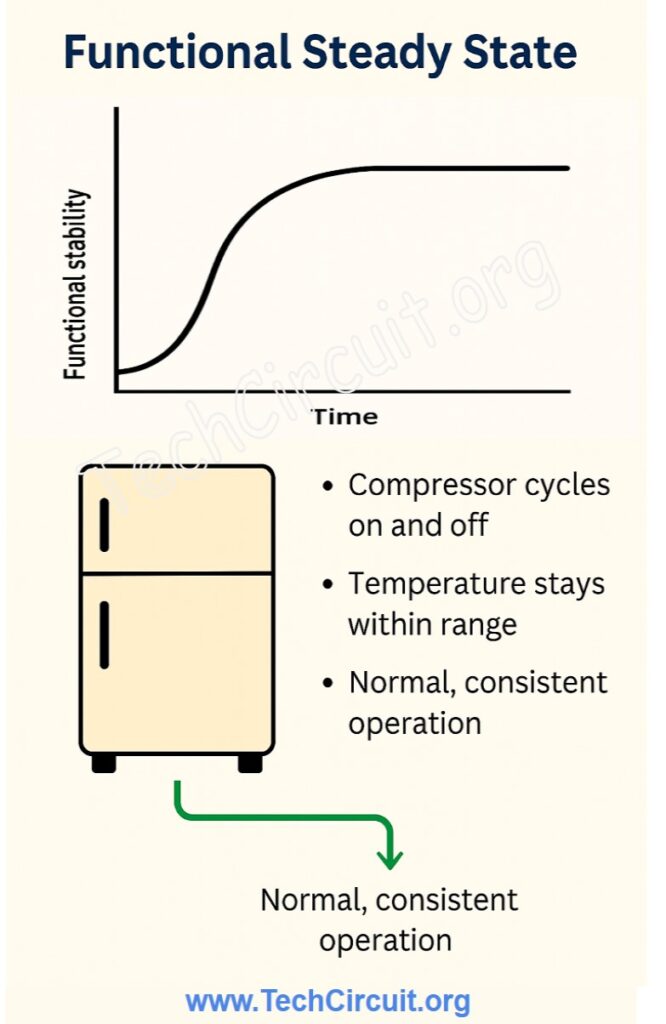 What is a functional steady state?