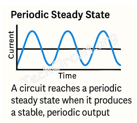 Periodic Steady State Graph